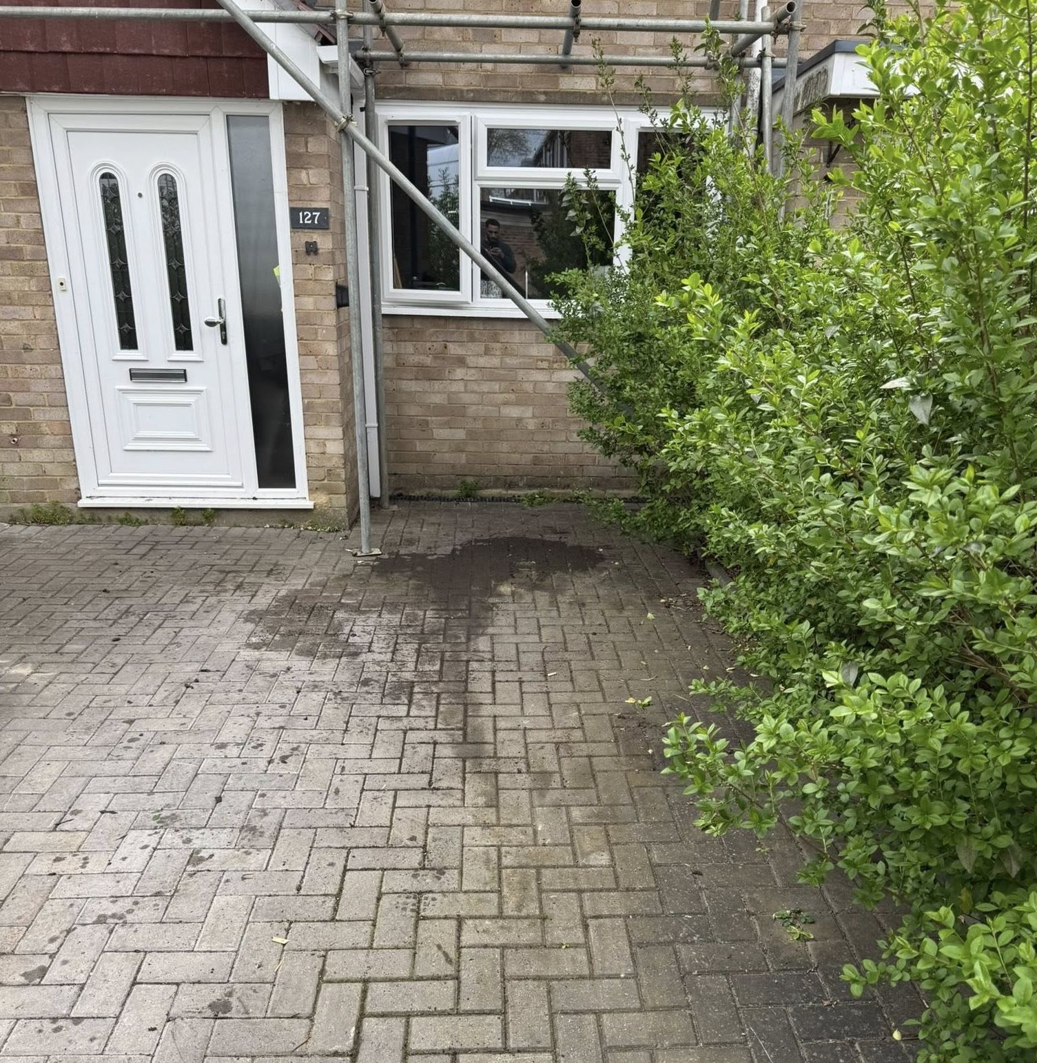 A clean and tidy patio after Kolts cleared it.